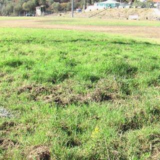 Domenica prossima al 'Pino Valle' di Baitè ad Imperia, il 27° Memorial 'Garibbo' di rugby