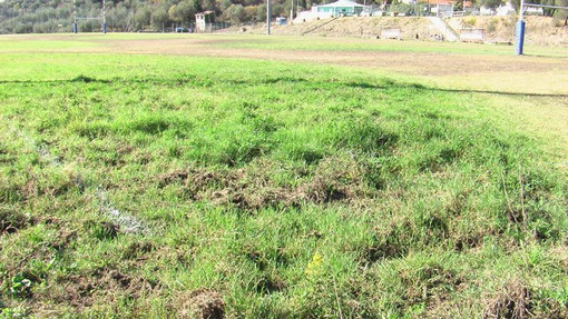 Domenica prossima al 'Pino Valle' di Baitè ad Imperia, il 27° Memorial 'Garibbo' di rugby Domenica prossima al 'Pino Valle' di Baitè ad Imperia, il 27° Memorial 'Garibbo' di rugby