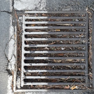 Vallecrosia: tombini, cunette e griglie da pulire, l'opposizione "Chiediamo un monitoraggio intenso"