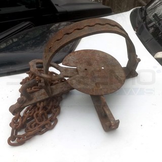 Sanremo: cerca i funghi ciuccotti e invece nei boschi trova una pericolosa tagliola (Foto)