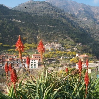 Ventimiglia: primo sopralluogo tecnico questa mattina a Torri e Calvo, per elaborare il progetto dei nuovi parcheggi nelle due frazioni Ventimiglia: primo sopralluogo tecnico questa mattina a Torri e Calvo, per elaborare il progetto dei nuovi parcheggi nelle due frazioni