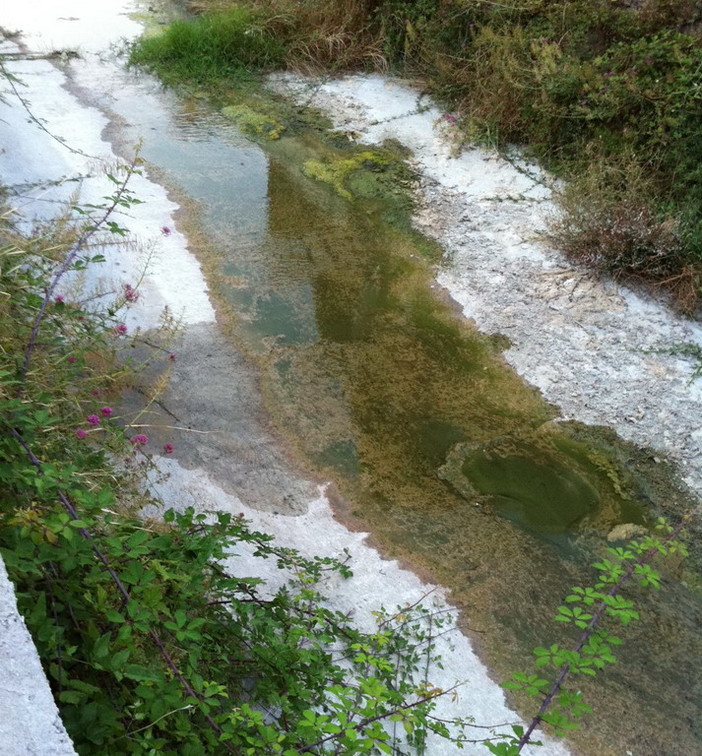 Bordighera: torrente in situazione di degrado, mail e foto di un nostro lettore Bordighera: torrente in situazione di degrado, mail e foto di un nostro lettore