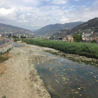 Taggia: stagione autunnale iniziata da poco, l'Amministrazione affida i lavori per la pulizia del torrente Argentina