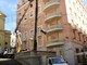 Sanremo: abbattuta in via Matteotti vicino al Casinò l'ennesima palma colpita dal 'Punteruolo Rosso'