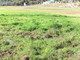Domenica prossima al 'Pino Valle' di Baitè ad Imperia, il 27° Memorial 'Garibbo' di rugby Domenica prossima al 'Pino Valle' di Baitè ad Imperia, il 27° Memorial 'Garibbo' di rugby