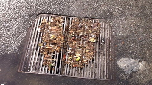 Imperia: lettore segnala chiusini otturati su Via Argine Sinistro da almeno 2 anni Imperia: lettore segnala chiusini otturati su Via Argine Sinistro da almeno 2 anni