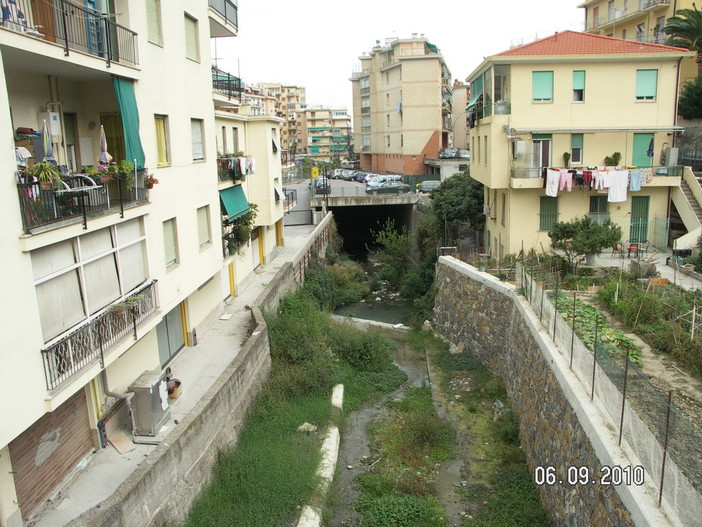 Sanremo: alveo del San Romolo pieno di rami ed alberi, risponde l'Assessore Bellini