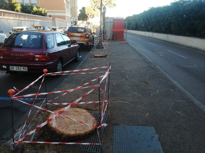 Sanremo: nella 'Giornata del Paesaggio' il Pat chiede all'Amministrazione maggiore attenzione al verde Sanremo: nella 'Giornata del Paesaggio' il Pat chiede all'Amministrazione maggiore attenzione al verde