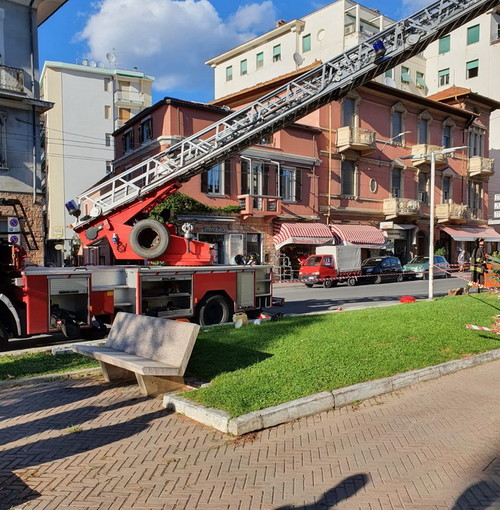 Arma di Taggia: grosso pino si 'appoggia' su un caseggiato, intervento dei Vigili del Fuoco (Foto)