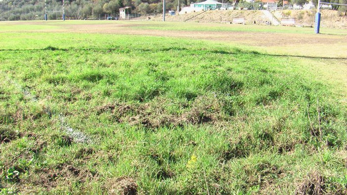 Domenica prossima al 'Pino Valle' di Baitè ad Imperia, il 27° Memorial 'Garibbo' di rugby Domenica prossima al 'Pino Valle' di Baitè ad Imperia, il 27° Memorial 'Garibbo' di rugby