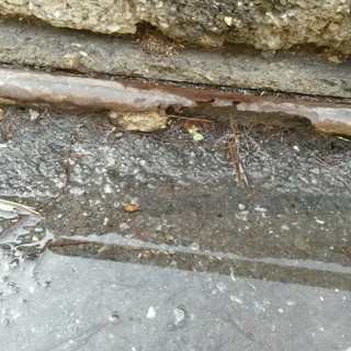 Imperia: si rompe una tubatura in Caramagna, abitanti senza acqua