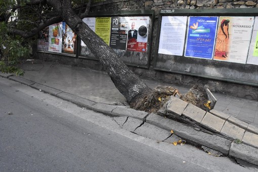 Maltempo e trombe marine su Sanremo: la macchina della sicurezza ha funzionato, i complimenti del Sindaco agli operatori Maltempo e trombe marine su Sanremo: la macchina della sicurezza ha funzionato, i complimenti del Sindaco agli operatori