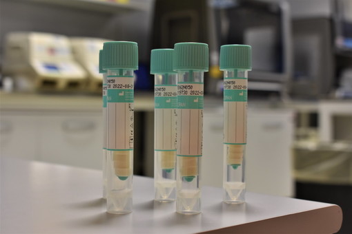 Coronavirus: arrivati in Liguria i test salivari per avvio monitoraggio del covid-19 nelle scuole, consegnati altri 600 per Asl1, Asl2 e Asl5