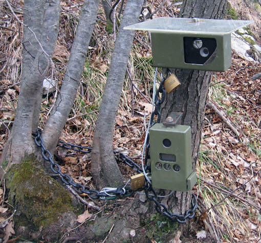 Bordighera: 'trappole fotografiche' in dotazione alla Municipale, denunciato un giardiniere che smaltiva sul rio Castagna