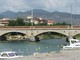 Arma di Taggia: micino abbandonato alla foce del torrente Argentina, l'appello di una lettrice Arma di Taggia: micino abbandonato alla foce del torrente Argentina, l'appello di una lettrice