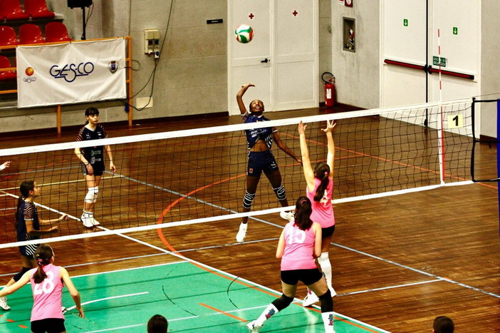 Volley: festa per Libellula, Monviso e Sammaborgo nel gran finale del 26° Torneo della Befana Volley: festa per Libellula, Monviso e Sammaborgo nel gran finale del 26° Torneo della Befana