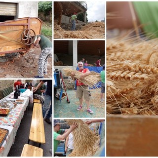 Valle Argentina: ieri si è ripetuta la tradizionale trebbiatura del grano a Ciabaudo in Oxentina (Foto)