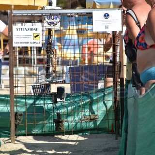 Tartarughe ad Arma di Taggia, con l'apertura del nido ecco i dati ufficiali: 93 nascite su 104 uova presenti Tartarughe ad Arma di Taggia, con l'apertura del nido ecco i dati ufficiali: 93 nascite su 104 uova presenti