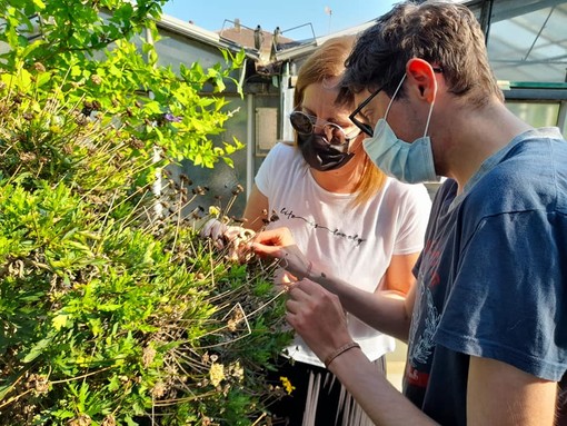 Ultimi giorni della campagna di raccolta fondi per il progetto ‘Un Seme Dopo di Noi’: si può donare fino al 26 giugno Ultimi giorni della campagna di raccolta fondi per il progetto ‘Un Seme Dopo di Noi’: si può donare fino al 26 giugno
