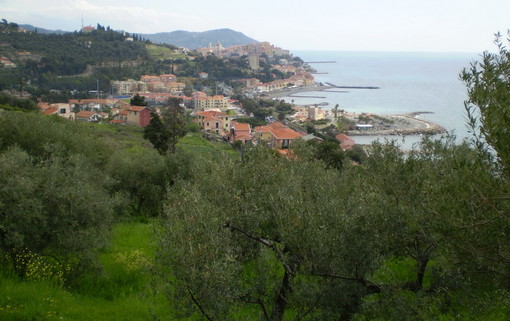 Cumpagnia de l’Urivu: mercoledì 22 la 'Festa di Primavera' all’Uliveto Sperimentale in Garbella Cumpagnia de l’Urivu: mercoledì 22 la 'Festa di Primavera' all’Uliveto Sperimentale in Garbella