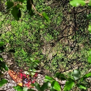 Vallecrosia: non sarà eseguita l'autopsia su Romeo Barbalace, il decesso per un malore e poi la caduta