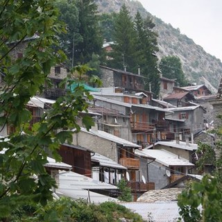 Sabato prossimo tra i Larici di Upega 'navigando' per il Bosco delle Navette Sabato prossimo tra i Larici di Upega 'navigando' per il Bosco delle Navette