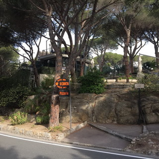 Bordighera: un pino marittimo rischia di cadere sul dehors del 'Cavetu', ordinanza di abbattimento del Sindaco