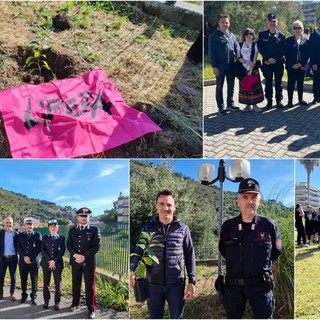 Strage di Capaci, le scuole di Ventimiglia piantano “Un albero per il futuro” (Foto e video)