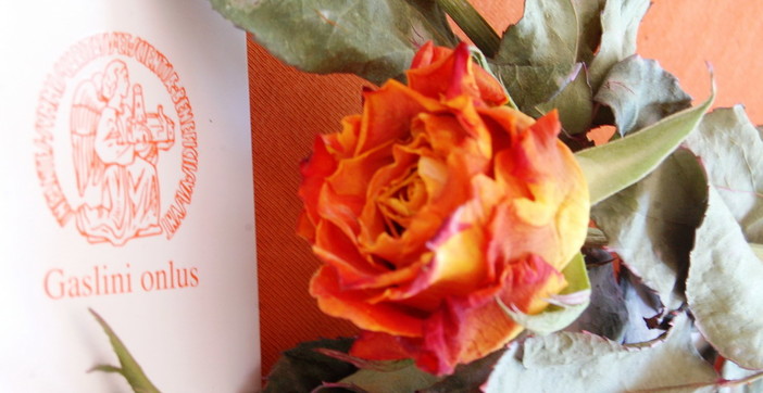 La 'Rosa per il Gaslini' da oggi al Moac di Sanremo: una importante azione di solidarietà per sostenere le attività della 'Gaslini Onlus' La 'Rosa per il Gaslini' da oggi al Moac di Sanremo: una importante azione di solidarietà per sostenere le attività della 'Gaslini Onlus'