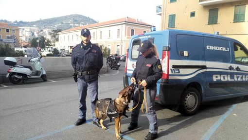 Controlli antidroga ad Imperia: i cani scovano 5 grammi di marijuana nei bagni di una scuola