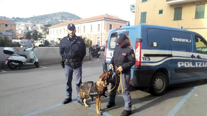 Controlli antidroga ad Imperia: i cani scovano 5 grammi di marijuana nei bagni di una scuola