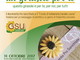 Il Movimento Pro Sanctitate nelle piazze d’Italia: il 31 ottobre e 1° novembre anche ad Imperia