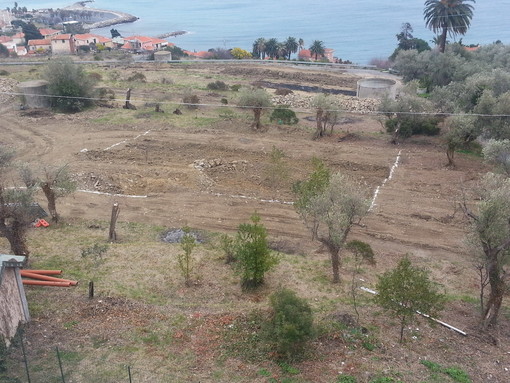 Imperia: domani mattina all'Oliveto Sperimentale, premiazione in memoria dello scrittore Giacomo Ricci