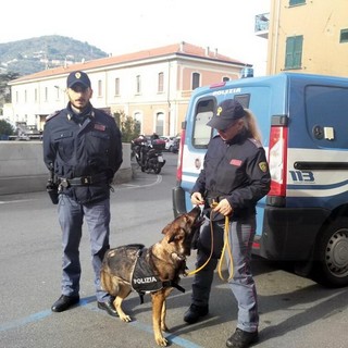 Controlli antidroga ad Imperia: i cani scovano 5 grammi di marijuana nei bagni di una scuola