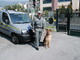Algerino arrestato dalla Guardia di Finanza di Ventimiglia perchè già colpito da provvedimento di espulsione