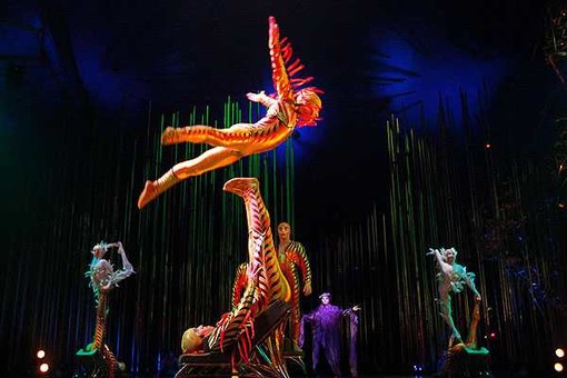 Cirque du Soleil in Varekai Cirque du Soleil in Varekai