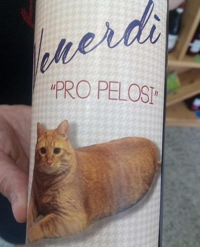 Sanremo: una speciale bottiglia di vino per ricordare l'amato micio 'Venerdì' ed aiutare la 'Lega del Gattino'