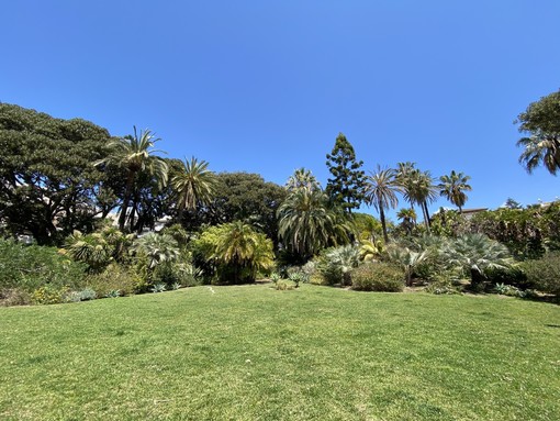 Il parco di Villa Ormond