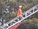 Imperia: forte vento in provincia, diversi interventi dei Vigili del Fuoco Imperia: forte vento in provincia, diversi interventi dei Vigili del Fuoco