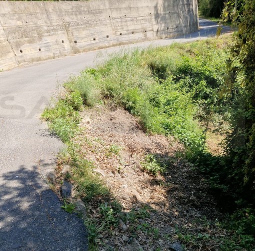 Sanremo: via delle Fonti a rischio crollo, l'allarme e la paura lanciati dai residenti della zona (Foto) Sanremo: via delle Fonti a rischio crollo, l'allarme e la paura lanciati dai residenti della zona (Foto)