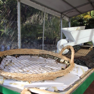 'SanremoInFiore' 2017: a Villa Ormond partono i lavori per la costruzione 'en plein air' del carro di Sanremo