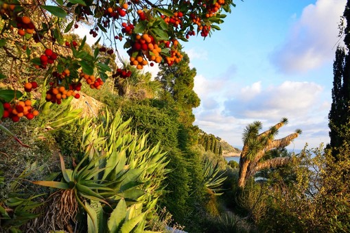 Giardini Piacenza Boccanegra a Latte di Ventimiglia Giardini Piacenza Boccanegra a Latte di Ventimiglia