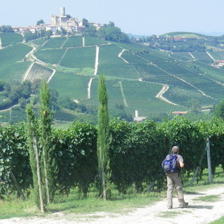 Da Colle di Nava alla scoperta del Barolo, domenica il Tour con la guida Marco Rosso