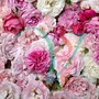 La Ditta Viglietti Sergio, Leader nell'Export Fiori e Fronde, ricerca Tre Figure Professionali da inserire nella sua sede di Sanremo La Ditta Viglietti Sergio, Leader nell'Export Fiori e Fronde, ricerca Tre Figure Professionali da inserire nella sua sede di Sanremo