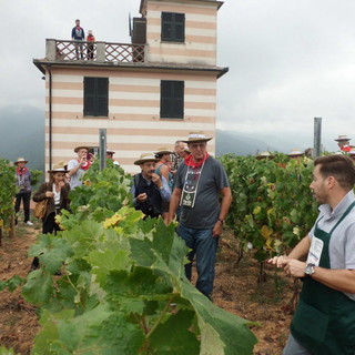 ‘Ranzo tourism experience’: #art&amp;wine in vigna per gli special guest del residence ‘Le terrazze’ di Alassio