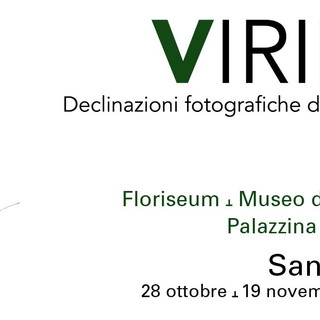 Sanremo: sabato prossimo al Museo del Fiore l'inaugurazione della mostra fotografica 'Viridi'