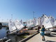 Club del Mare di Diano Marina: sole e un bel vento per il Trofeo Primavera dedicato alla classe Optimist