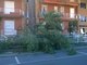 Diano Marina: danni anche nella città degli aranci per il forte vento che imperversa in riviera Diano Marina: danni anche nella città degli aranci per il forte vento che imperversa in riviera