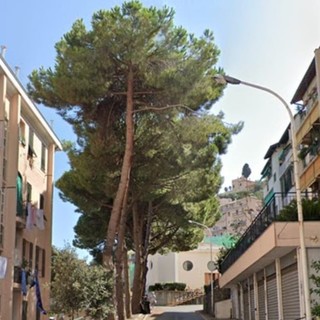 Alcune delle strade dissestate Alcune delle strade dissestate