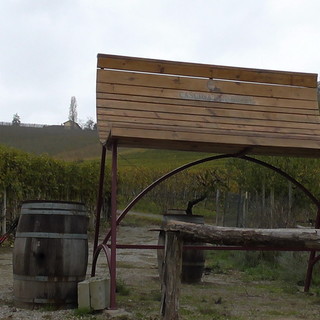 Domenica prossima escursione in Piemonte sulle colline delle Langhe alla scoperta del Barbaresco